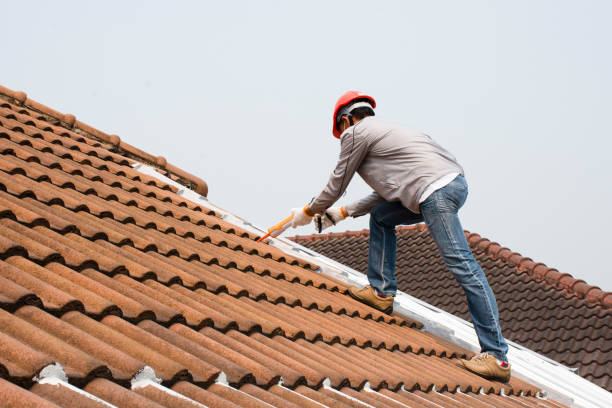 Roof Maintenance in Orchard Mesa, CO